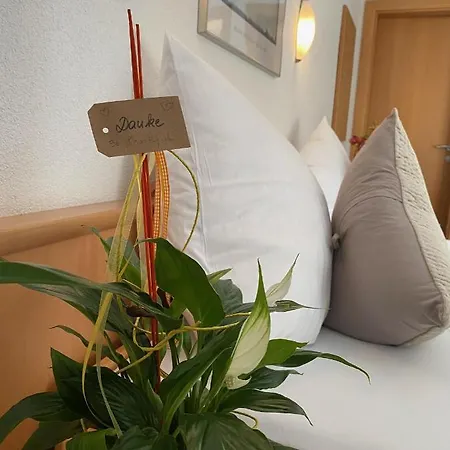 Apartment 54